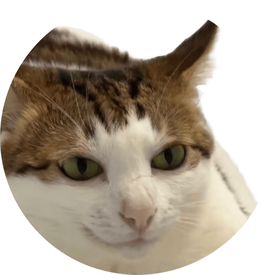 Osinghong